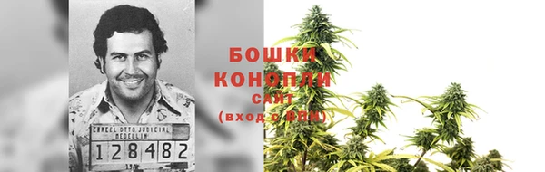 гидра Белокуриха